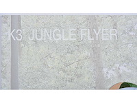 Panamarenko - k3 jungle flyer - kleurendruk met diepdruk - professioneel ingelijst - afbeelding 5 van  9