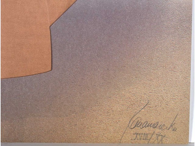 Panamarenko - k3 jungle flyer - kleurendruk met diepdruk - afbeelding 3 van  9