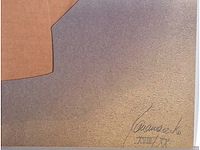 Panamarenko - k3 jungle flyer - kleurendruk met diepdruk - afbeelding 3 van  9