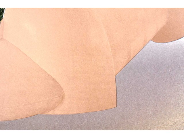 Panamarenko - k3 jungle flyer - kleurendruk met diepdruk - afbeelding 7 van  9