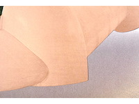 Panamarenko - k3 jungle flyer - kleurendruk met diepdruk - afbeelding 7 van  9