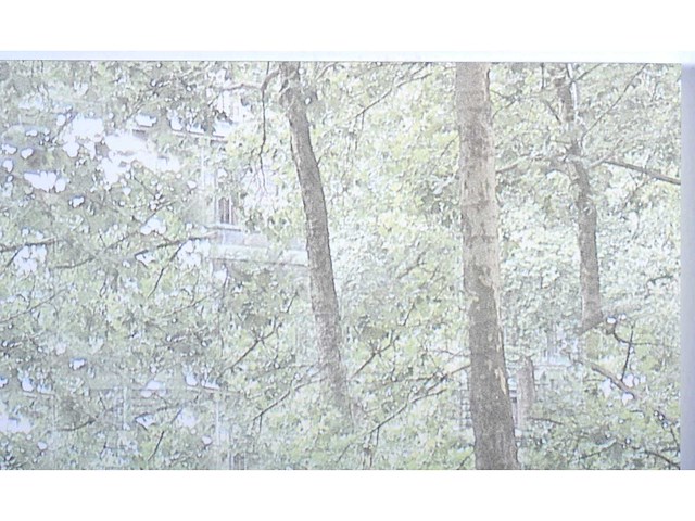 Panamarenko - k3 jungle flyer - kleurendruk met diepdruk - afbeelding 8 van  9