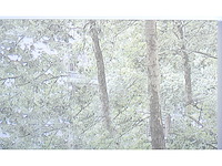 Panamarenko - k3 jungle flyer - kleurendruk met diepdruk - afbeelding 8 van  9