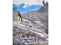 Panamarenko - knikkebeen - kleurendruk met diepdruk - afbeelding 1 van  9