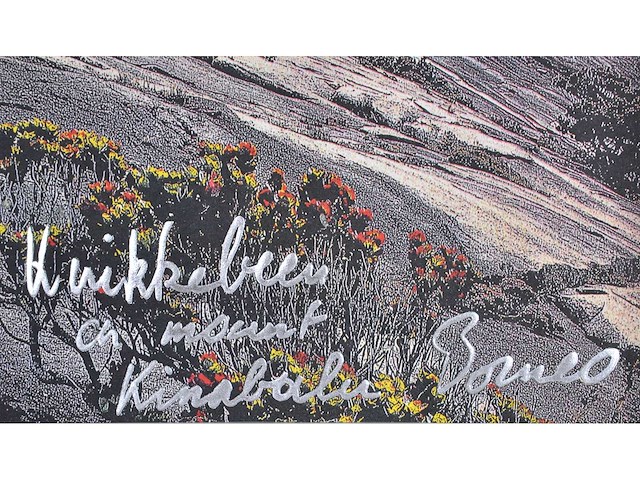 Panamarenko - knikkebeen - kleurendruk met diepdruk - afbeelding 4 van  9