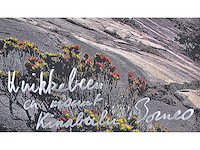 Panamarenko - knikkebeen - kleurendruk met diepdruk - afbeelding 4 van  9