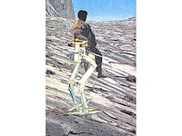 Panamarenko - knikkebeen - kleurendruk met diepdruk - afbeelding 5 van  9