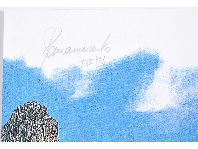 Panamarenko - knikkebeen - kleurendruk met diepdruk - afbeelding 3 van  9