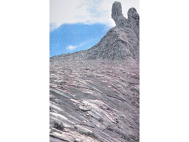 Panamarenko - knikkebeen - kleurendruk met diepdruk - afbeelding 6 van  9