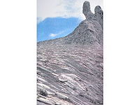 Panamarenko - knikkebeen - kleurendruk met diepdruk - afbeelding 6 van  9