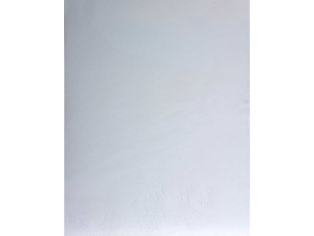 Panamarenko - knikkebeen - kleurendruk met diepdruk - afbeelding 7 van  9