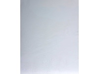 Panamarenko - knikkebeen - kleurendruk met diepdruk - afbeelding 7 van  9