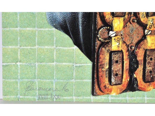 Panamarenko - magnetische schoenen - kleurendruk met diepdruk - afbeelding 3 van  7