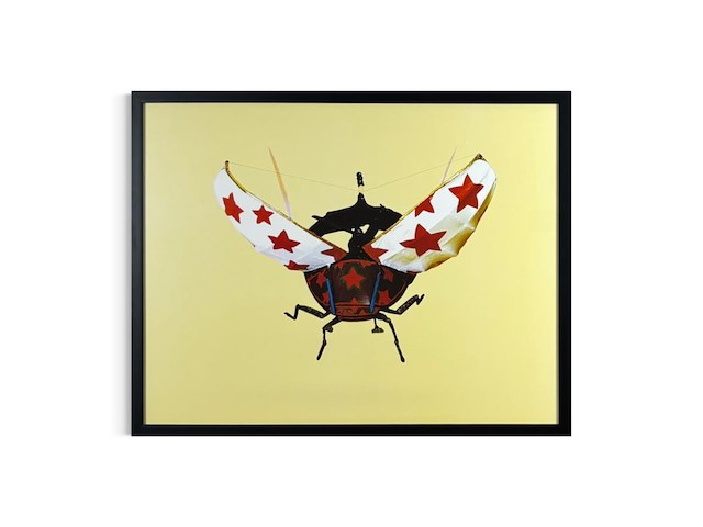 Panamarenko - meikever - afbeelding 1 van  1