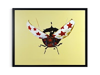 Panamarenko - meikever