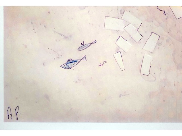 Panamarenko - nova zemblaya - offset - afbeelding 2 van  3