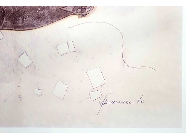 Panamarenko - nova zemblaya - offset - afbeelding 3 van  6