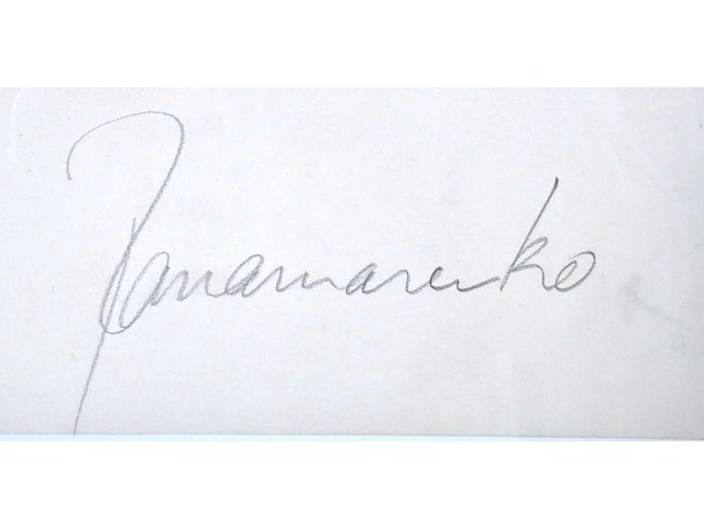 Panamarenko - propan propuls (raketvliegtuig) - zeefdruk - afbeelding 3 van  6