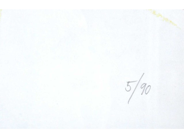 Panamarenko - propan propuls (raketvliegtuig) - zeefdruk - afbeelding 4 van  6