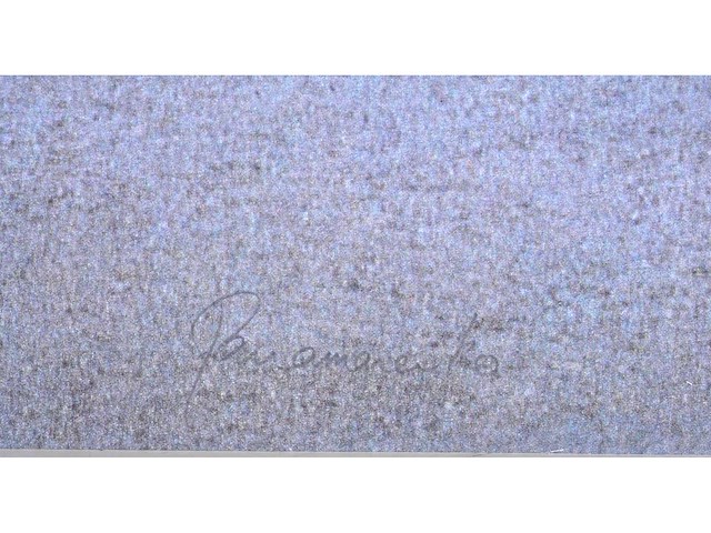 Panamarenko - u-control iii - kleurendruk met diepdruk - afbeelding 3 van  9