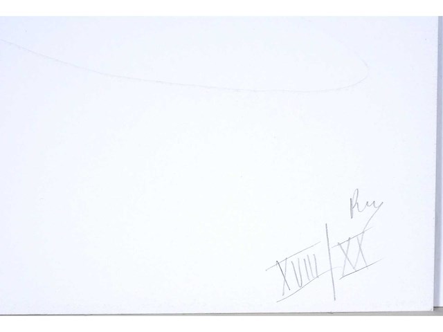 Panamarenko - u-control iii - kleurendruk met diepdruk - afbeelding 4 van  9