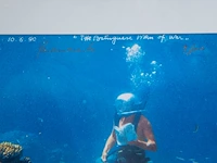 Panamarenko (1940-2019), ‘the portuguese man of war’, print, n° 9/100 (+) - afbeelding 6 van  6