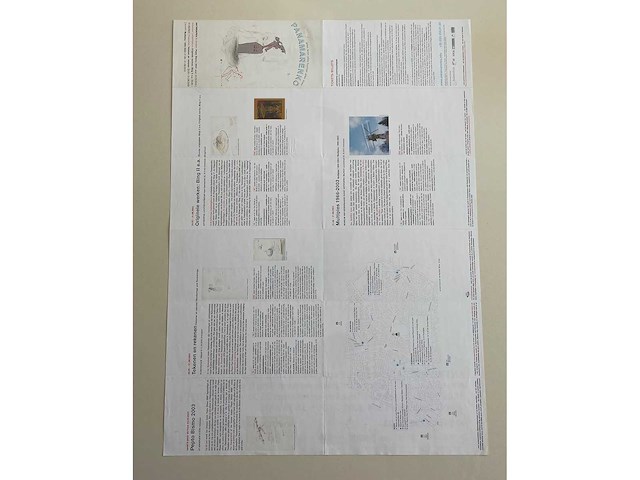 Panamarenko - afbeelding 1 van  1