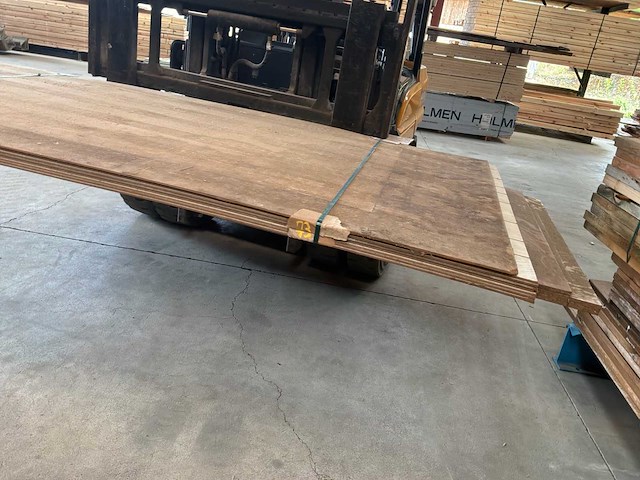 Panel surfais panelen nr. 73 - afbeelding 3 van  3