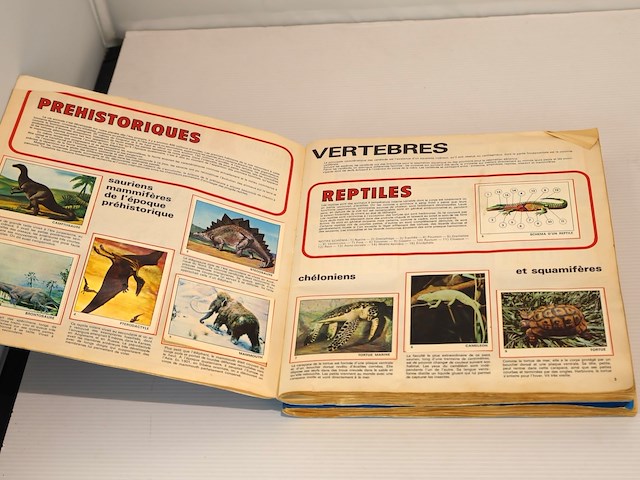Panini les mondes des animaux (x2) - afbeelding 3 van  9