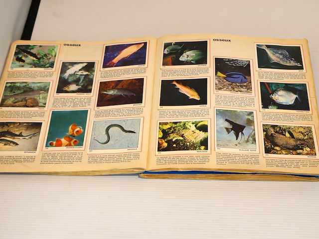 Panini les mondes des animaux (x2) - afbeelding 4 van  9