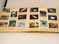 Panini les mondes des animaux (x2) - afbeelding 4 van  9