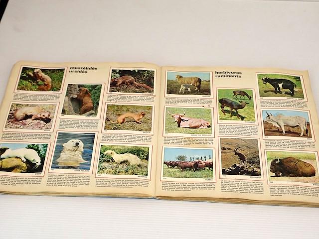 Panini les mondes des animaux (x2) - afbeelding 6 van  9