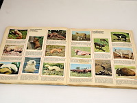 Panini les mondes des animaux (x2) - afbeelding 6 van  9