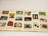 Panini les mondes des animaux (x2) - afbeelding 7 van  9