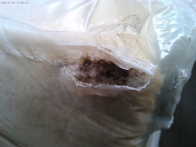 Panoramische bank - beige terry stof - afbeelding 11 van  12