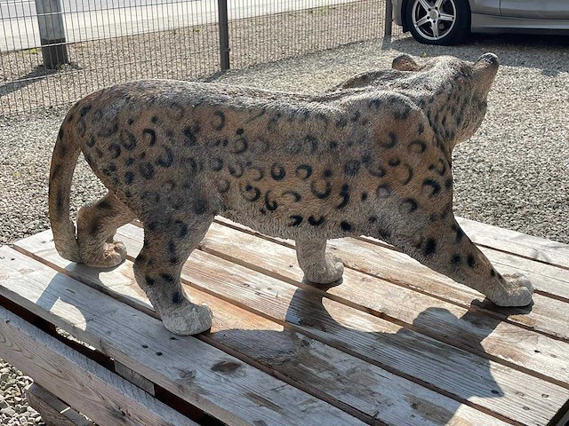 Panter original h38cm x l80cm - afbeelding 2 van  2