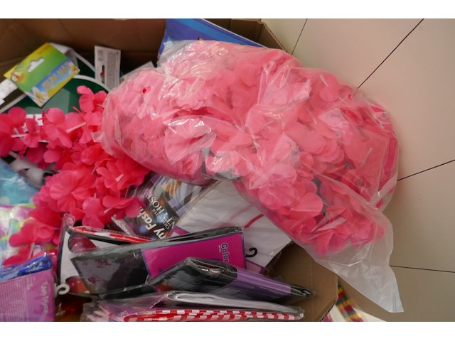 Panty's en carnaval artikelen - afbeelding 3 van  5