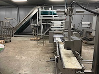 Paprika sorteer- en verpakkingsmachine combinatielot - afbeelding 1 van  58