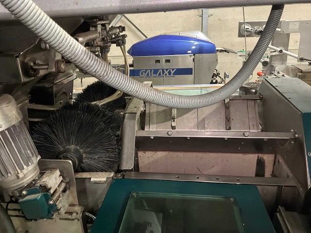 Paprika sorteer- en verpakkingsmachine combinatielot - afbeelding 15 van  58