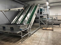 Paprika sorteer- en verpakkingsmachine combinatielot - afbeelding 12 van  58
