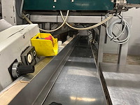 Paprika sorteer- en verpakkingsmachine combinatielot - afbeelding 24 van  58