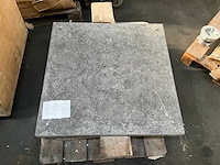 Parasolvoet graniet - afbeelding 1 van  3