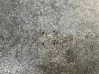 Parasolvoet graniet - afbeelding 2 van  3