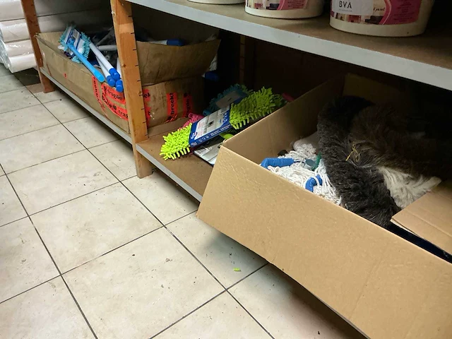 Part schoonmaakmiddelen - afbeelding 1 van  6