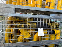 Partij aanrijdbeveiliging - afbeelding 3 van  7