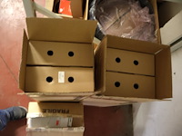 Partij artemide - afbeelding 2 van  7