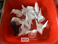 Partij beeldjes vogels - afbeelding 1 van  2