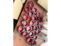 Partij bekers diversen - decoration - afbeelding 2 van  6