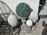 Partij bloembakken en buitenplanten - afbeelding 2 van  12
