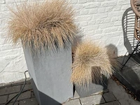 Partij bloembakken en buitenplanten - afbeelding 3 van  12